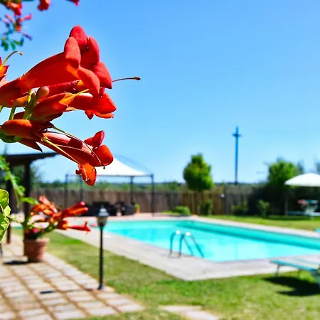 Fuer 20 Personen In Cortona- Trasimenischer By Interhome *