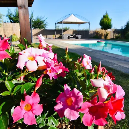 Hébergement de vacances Fuer 20 Personen In Cortona- Trasimenischer By Interhome Cortone