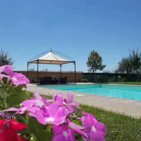 Fuer 20 Personen In Cortona- Trasimenischer By Interhome Hébergement de vacances Cortone