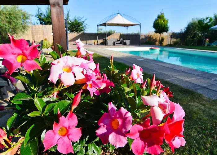 بيت للعطل Fuer 20 Personen In Cortona- Trasimenischer By Interhome كورتونا